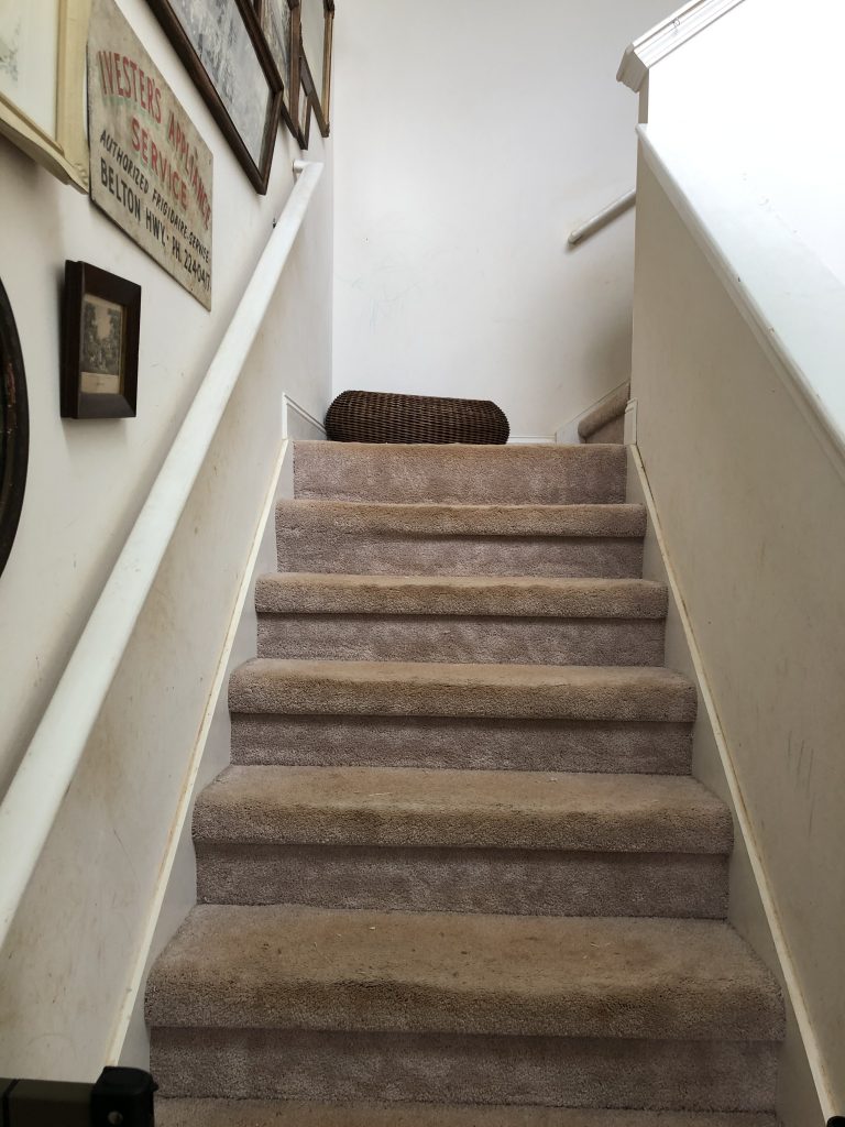 yucky carpet