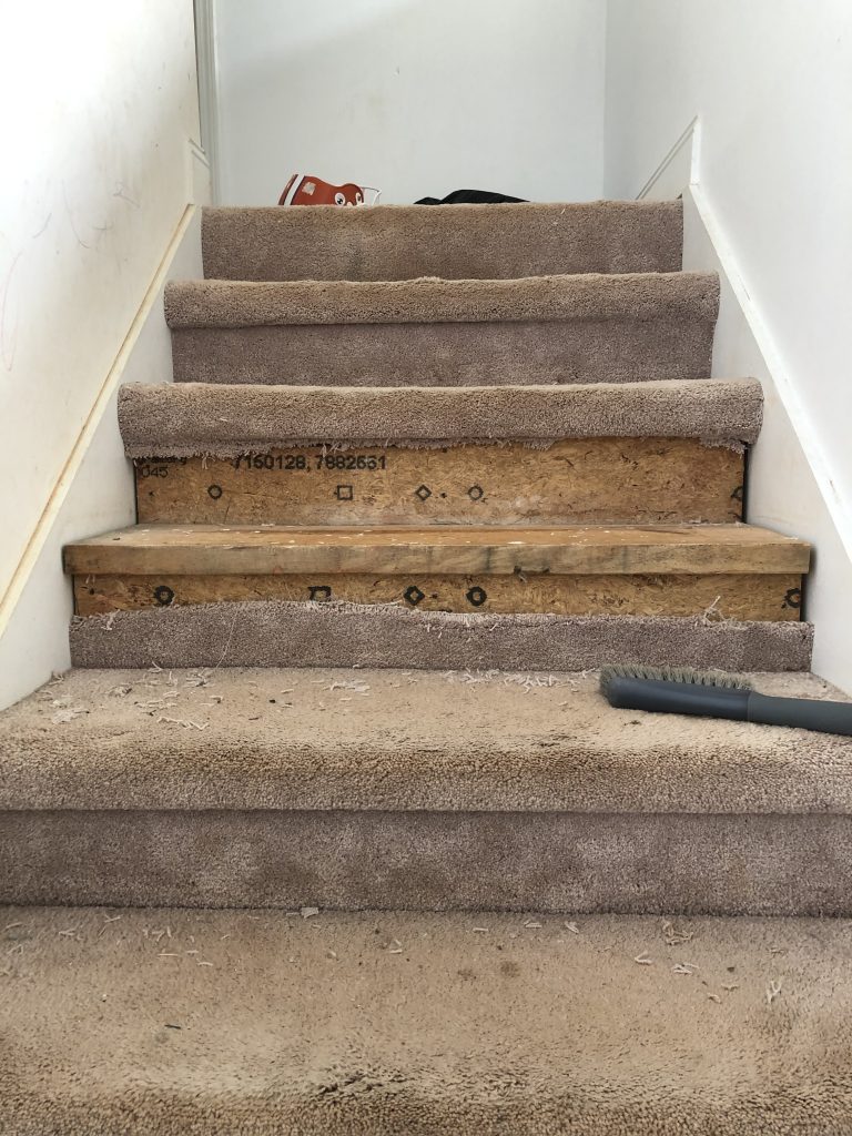 What's Underneath the Carpet