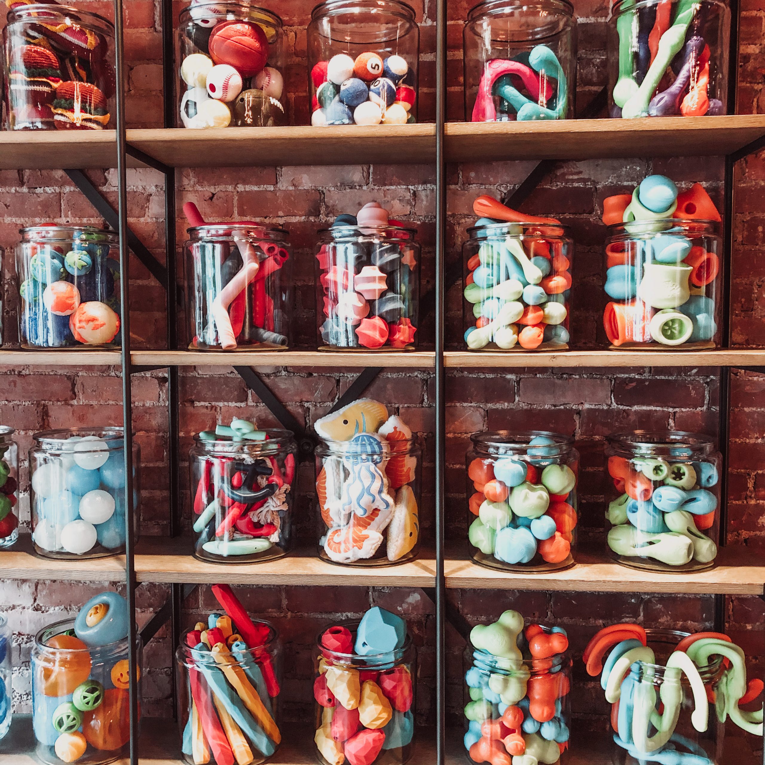 Toy display at Bark.